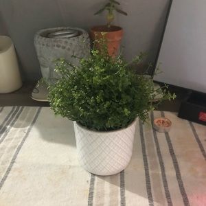 4 IKEA Faux Succulents